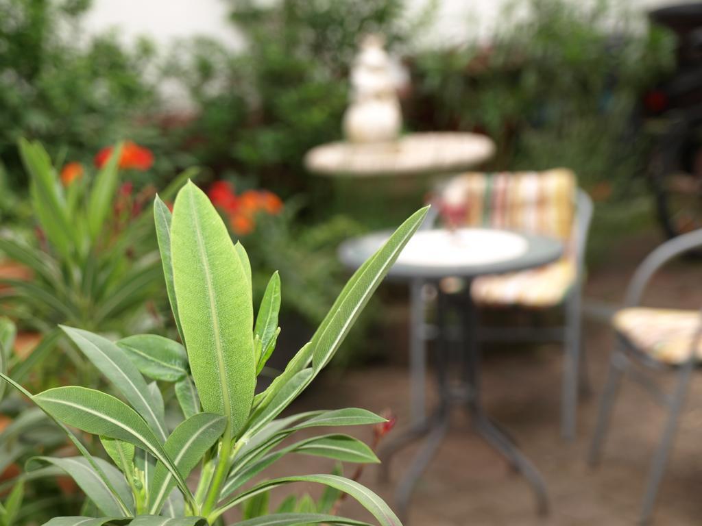 Apartment Klatschmohn Speyer