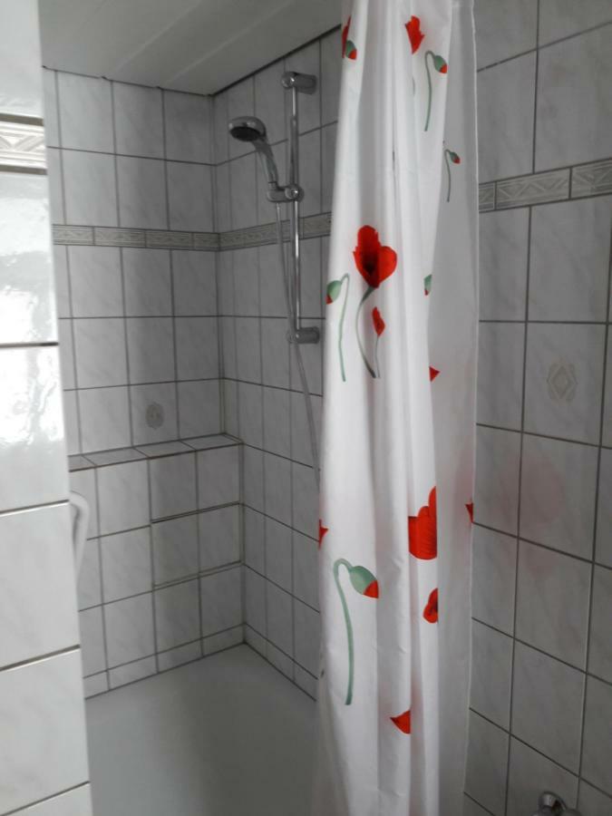 Klatschmohn Speyer